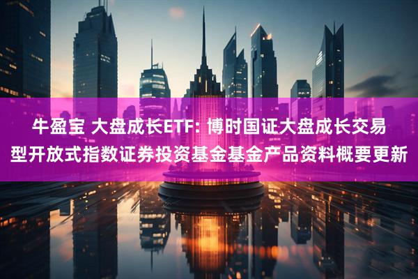 牛盈宝 大盘成长ETF: 博时国证大盘成长交易型开放式指数证券投资基金基金产品资料概要更新