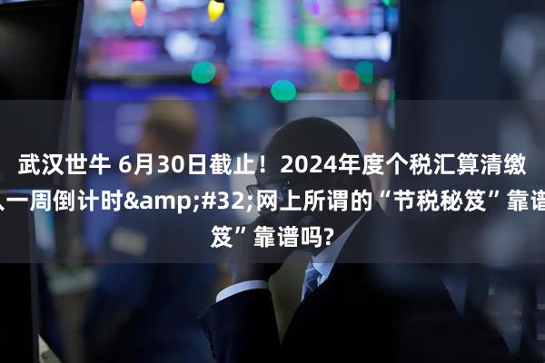 武汉世牛 6月30日截止！2024年度个税汇算清缴进入一周倒计时 网上所谓的“节税秘笈”靠谱吗?
