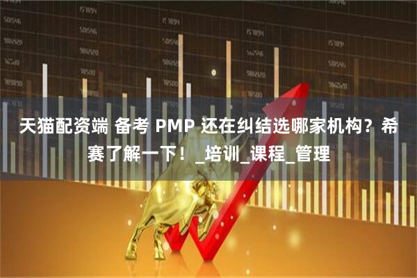 天猫配资端 备考 PMP 还在纠结选哪家机构？希赛了解一下！_培训_课程_管理
