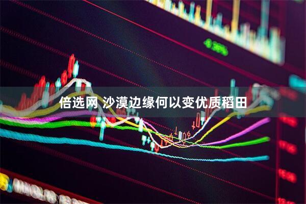倍选网 沙漠边缘何以变优质稻田