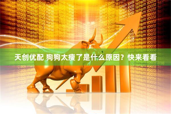 天创优配 狗狗太瘦了是什么原因？快来看看